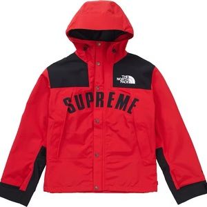 Supreme The North Face Arc Logo Mountain Parka